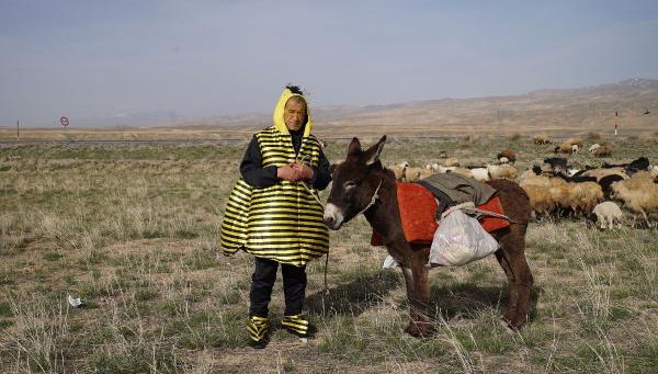 Aydın Aydın, bu kez "arı" oldu