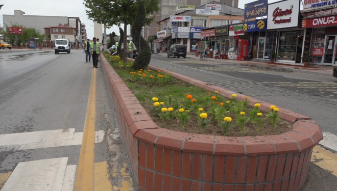 Erciş Caddeleri çiçeklerle süsleniyor