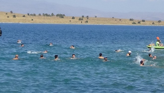 Van Gölü için 2 kilometre yüzdüler