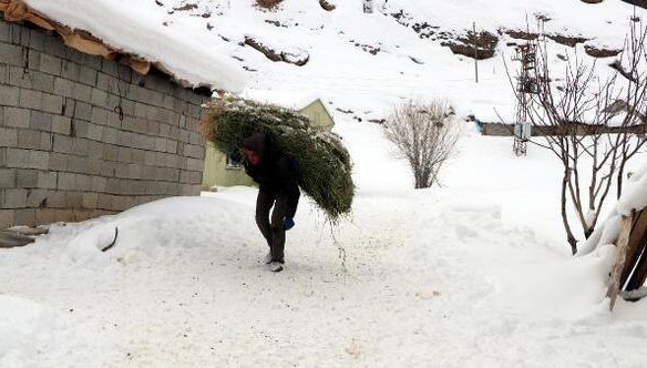 Bahçesaray ve kırsal mahallelerde zorlu kış yaşamı (VİDEO)