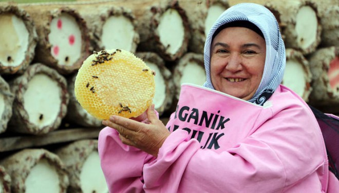 Öğretmenlik Hayalini Gerçekleştiremedi, Arıcılıkla 3 Çocuğunu Okuttu