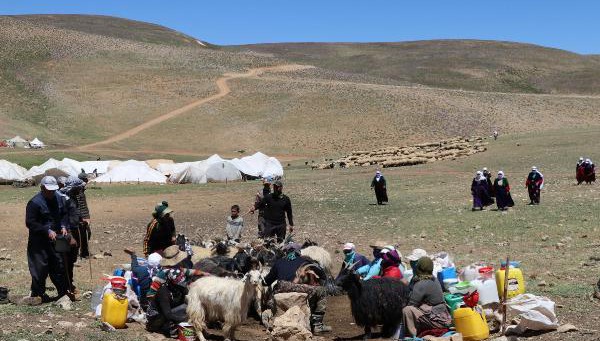 Berivanların Zorlu Yayla Yolculuğu