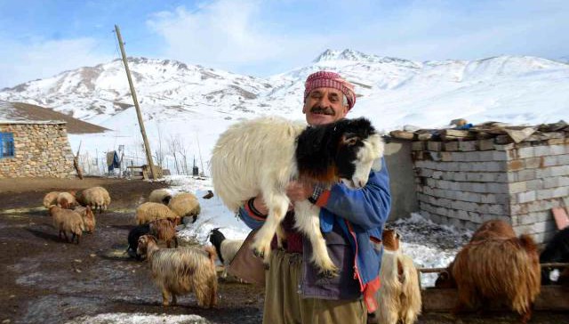 4 yıldır yaylada tek başına yaşıyor!