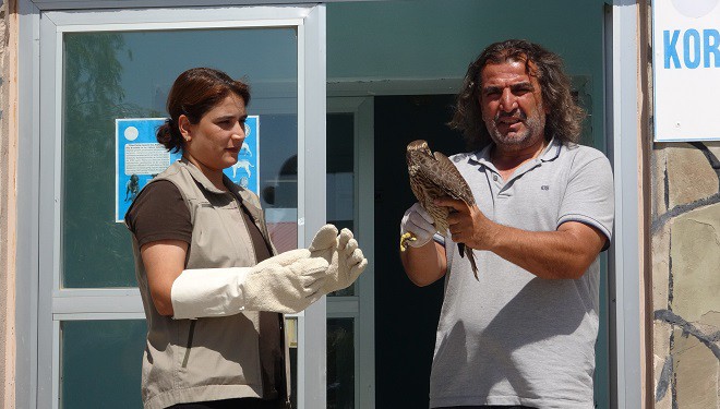 İsrail’de halkalanan gökdoğan kuşu Van'daki tedavisinin ardından özgürlüğe kanat çırptı