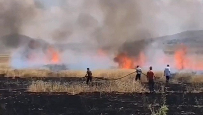 Van'da tarım arazisinde yangın